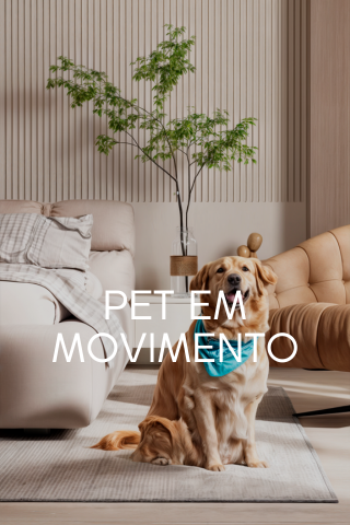 EM BREVE... (11)
